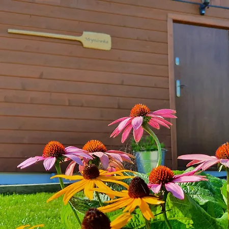 Mlynowka Przy Mlynie Kroscienko nad Dunajcem