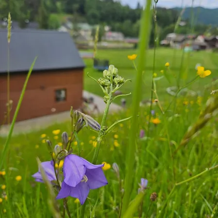 Mlynowka Przy Mlynie